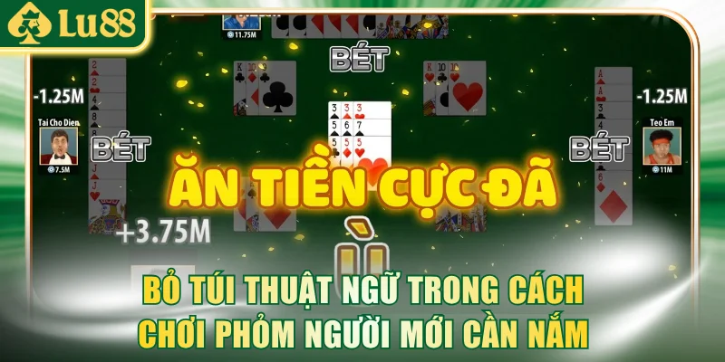Bỏ túi thuật ngữ trong cách chơi Phỏm người mới cần nắm rõ